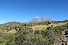 Kilimanjaro