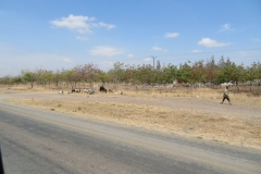 Ngorongoro Crater