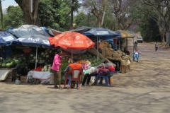 Ngorongoro Crater