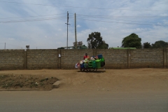 Ngorongoro Crater