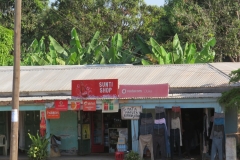 Tarangire